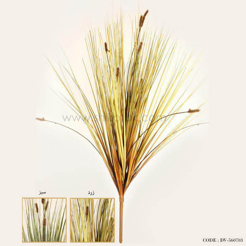 گل نی مرداب مصنوعی